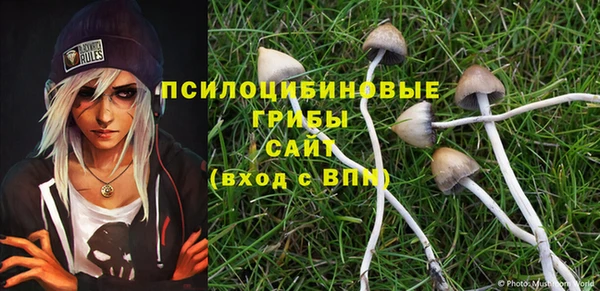 мяу мяу мука Армянск
