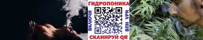 Конопля OG Kush  Серафимович 